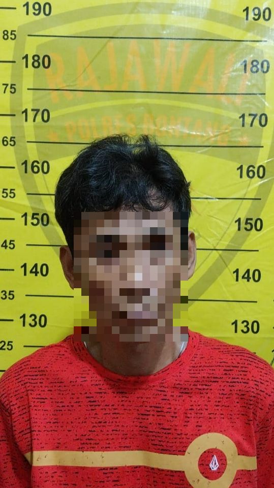 Bawa Badi Pria Tanjung Laut Ditangkap Polisi