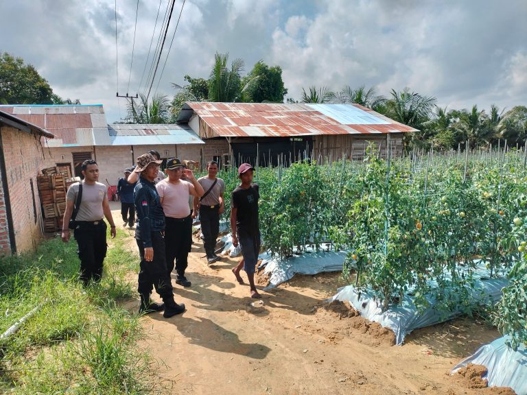 Dukung Ketahanan Pangan, Polsek Muara Badak Berkolaborasi Bersama UPT Dinas Pertanian Dan Kelompok Tani