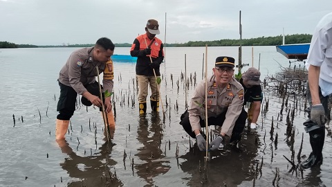 Kapolsek Bontang Selatan hadiri kegiatan Tanam 100 Pohon Mangrove Peringati Hari Mangrove Sedunia