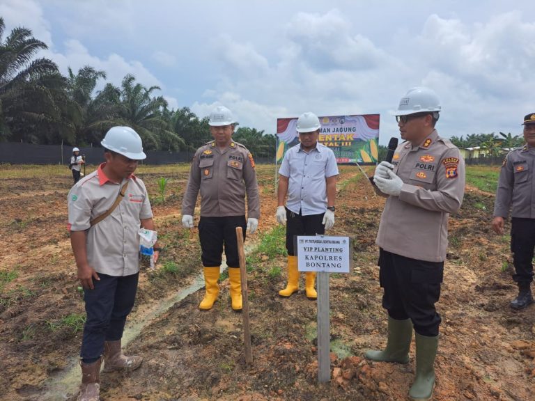 Penanaman Jagung Serentak, Sinergi Polres Bontang dan PT. TSB Penanaman Jagung Serentak, Sinergi Polres Bontang dan PT. TSB