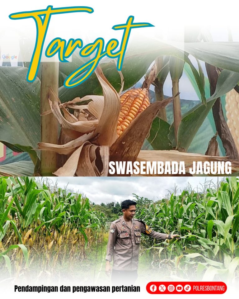 Polres Bontang Konsisten Dampingi Petani Jagung Menuju Swasembada Pangan